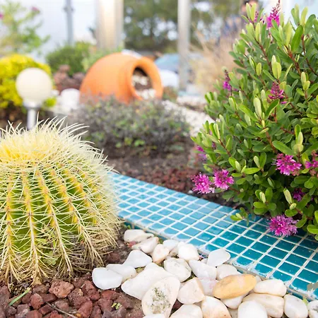 Hotel Hotel Santa Eulalia Bay 3*