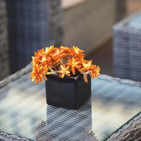 Hotel Santa Eulália Bay 3*