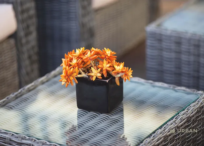 Hotel Santa Eulália Bay 3*